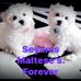 Jill Mayes - Facebook