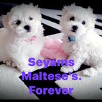 Jill Mayes - @mayes_55 - Instagram