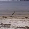 Jill Mayes - @jill.mayes - TikTok