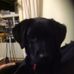Jillian McCulloch - Facebook