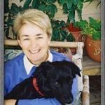 Jill McDougall - @jillmcdougall_author - Instagram