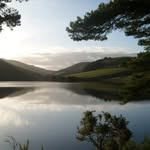 Jill McDougall - @mcdougall.jill - Instagram