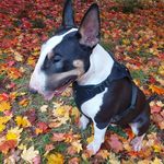 Jill McFarlane - @jill.mcfarlane.73 - Instagram