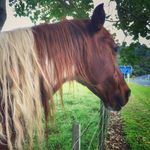 Jill McFarlane - @nanajinipapi - Instagram