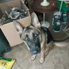 Jill McGhee - @jill.mcghee - TikTok