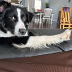 Jill Bennett McKee - @jill.mckee1 - Instagram