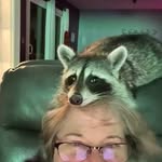 Jill Parshall McKee - @jill.parshall - Instagram