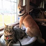 Jill Merry Smith - @jillmerrysmith - Instagram