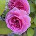 Jill Stephens Midkiff - Facebook