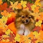 Jill Stephens Midkiff - @esqlib1 - Instagram
