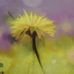 Jill Milligan - Facebook