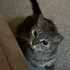 Jill MilliganBean - @jill.milliganbean - TikTok