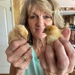 Jill Mitchell - Facebook