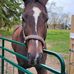 Jill Moffat Solly - Facebook