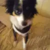 Jill Monroe - @jill.monroe5 - TikTok