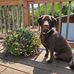 Jill Moorhead - Facebook