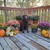 Jill Moorhead - Facebook