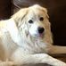 Jill Mulder - Facebook
