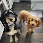 Jill Mullaney - @jill.mullaney.1 - Instagram