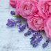 Jill Murdock - Facebook