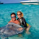Jill Nellis Forte - Facebook