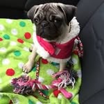Jill Noffsinger - @jnoff - Instagram