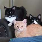 Jill Olson - Facebook