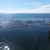 Jill Ortiz - @jill.ortiz1 - TikTok