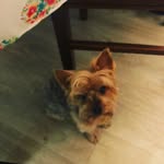 Jill Ortiz - @pinapple8282 - Instagram