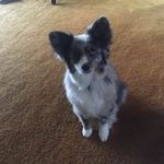 Jill Ortiz - @jillortiz1947 - Instagram