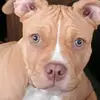❤️love❤️ - @jillotte.com - TikTok