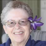 Jill Peck - Facebook