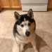 Jill Pedroli - Facebook