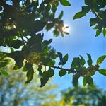 Jill Perkins - @oakwoodpark.enfield - Instagram