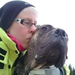 Jill Persson - @desictist - Instagram