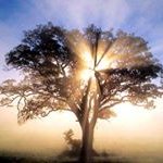 Jill Persson - @blueperson07 - Instagram