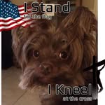 Jill St Pierre - @tiggersc1960 - Instagram