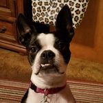 Piper Jill - @misspiperjill - Instagram