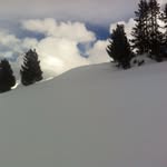 Jill Pitcher-Sayers - @jill_sayers - Instagram