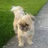 Jill Poole - @jill.poole - TikTok