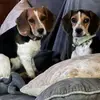 Jill Port - @jill.port - TikTok