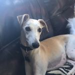 Jill Quick, Katrina Hohlmaier - @socialreflection_ - Instagram