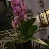 Jilly Rader - @jilly.rader - TikTok