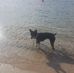Jill Radtke - Facebook