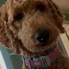 jillrauch71 - @jillandlucybv - TikTok