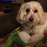 Jill-Jeanette Rauscher - @jillrauscher5410 - Instagram