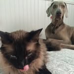 Jillian - @jillraymerspam - Instagram