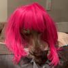jillraymer - @jill.raymer - TikTok