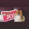 JILL RECTOR - @jill.rector - TikTok