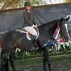 jillreichman - @jillreichman - TikTok